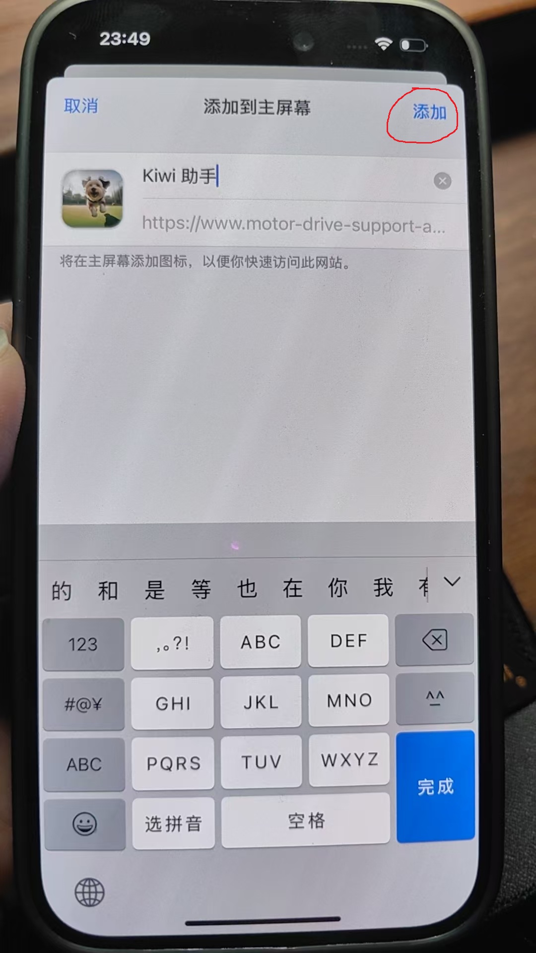 iPhone 添加到主屏幕确认页面