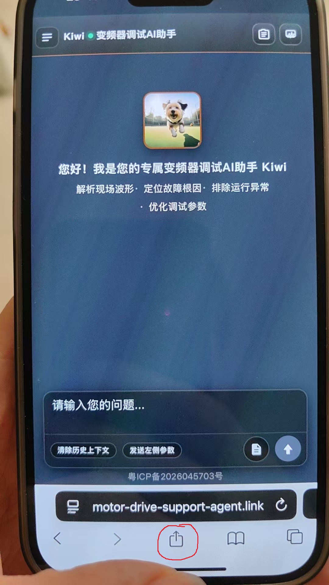 iPhone Safari 底部分享按钮位置